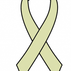 Ivory Ready to Wear Charity Awareness Ribbons (Pk 25)
