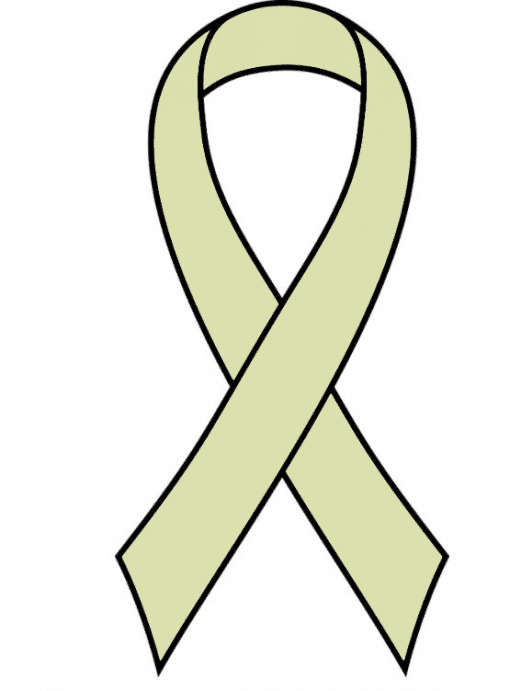 Ivory Ready to Wear Charity Awareness Ribbons (Pk 25)