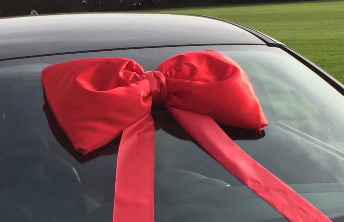 50cm Red Luxury Car Bow