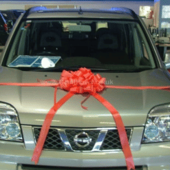 Red Car Bow
