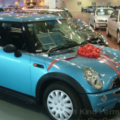 Red Car Bow
