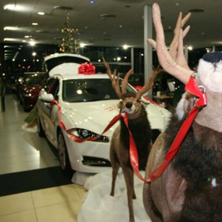 Red Pom Pom Bow For Car Showrooms