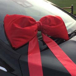 Red Shoelace Bow