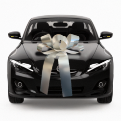 Big Silver Car Bow