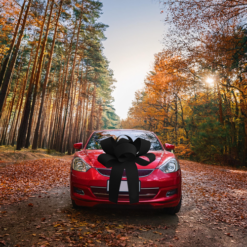 Big Car Bonnet Rosette Card Bow