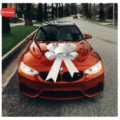 Big Car Bonnet Rosette Card Bow