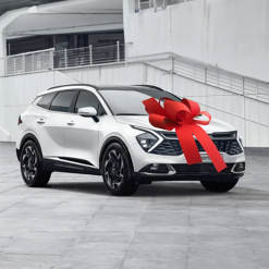 Big Car Bonnet Rosette Card Bow