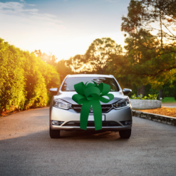 Big Car Bonnet Rosette Card Bow