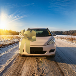 Big Car Bonnet Rosette Card Bow