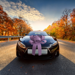Big Car Bonnet Rosette Card Bow