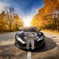 Big Car Bonnet Rosette Card Bow