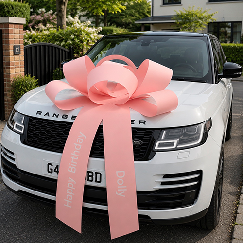 PASTEL PINK CAR BOW