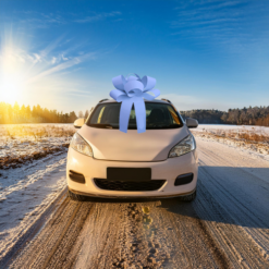 Big Car Bonnet Rosette Card Bow