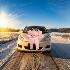 Big Car Bonnet Rosette Card Bow