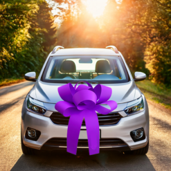 Big Car Bonnet Rosette Card Bow