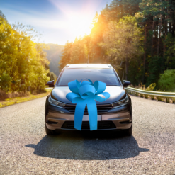 Big Car Bonnet Rosette Card Bow