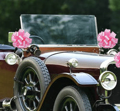 Wedding Car Ribbon & Bow Package