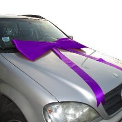 Purple Bows