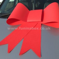 Big Card Red Bow