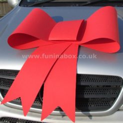 Big Card Red Bow