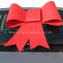 Big Card Red Bow