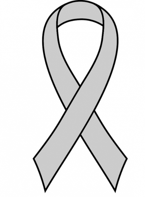 Silver Grey Ready to Wear Charity Awareness Ribbons (Pk 25)