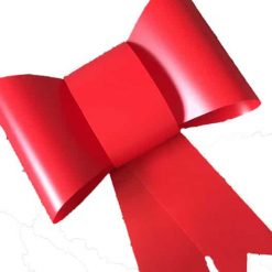 Giant Bow For A House