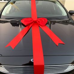 Shoelace Style Satin Car Bow