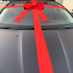 Shoelace Style Satin Car Bow