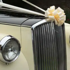 Buy Wedding Car Bows & Ribbons Essex All Colours