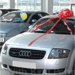 Red Pom Pom Big Bow For New Car