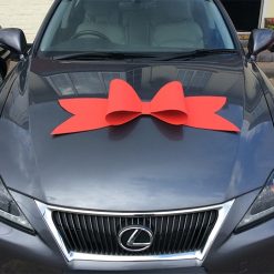 Budget Car Bow