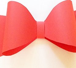 Budget Car Bow Under £25