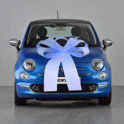Big Car Bonnet Bow