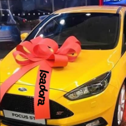 Big Car Bonnet Card Bow - 30+ Colours - Personalise!