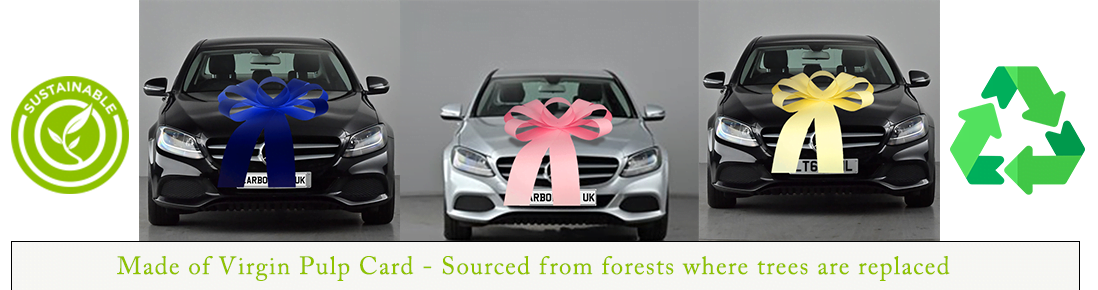 Recyclable-Car-Bows