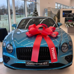 Big Red Personalised Car Bow