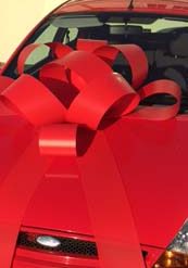 Red Plastic Bow