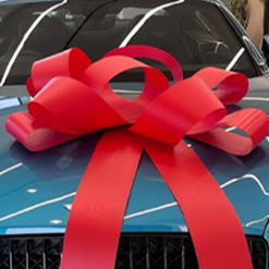 Red Plastic Rosette Bow