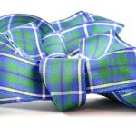422 Green & Blue