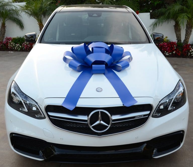Blue Bows Big Blue Bows For Car & Gifts