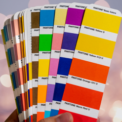 Pantone Colour Matched Printed Sashes