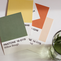 Pantone Colour Matched Printed Sashes