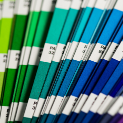 Pantone Colour Matched Printed Sashes