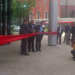 Extra Wide Red Ribbon