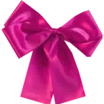 Bright Pink