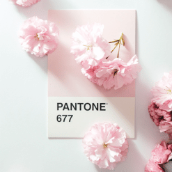 Pantone CMYK Colour Ribbon 2