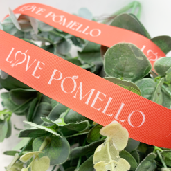 Pantone CMYK Colour Ribbon