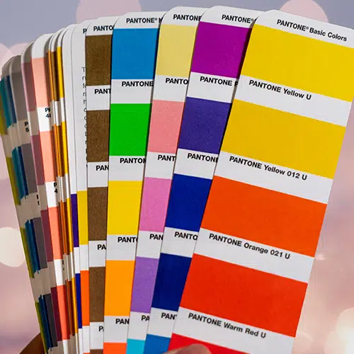 CMYK Pantone Colour Dyed Ribbon Printed UK Quick Delivery