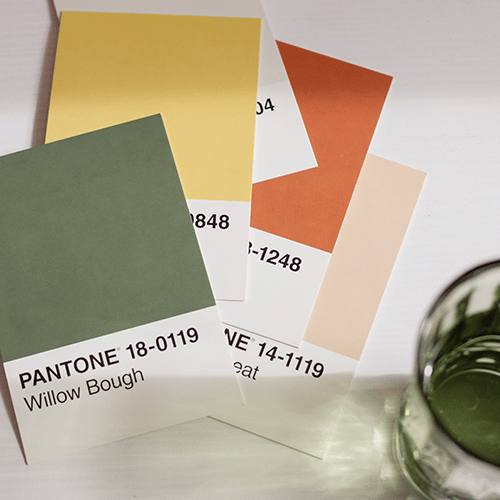 Pantone Matched CMYK Ribbon Nature